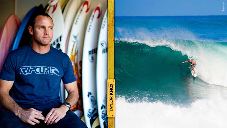 Taylor Knox