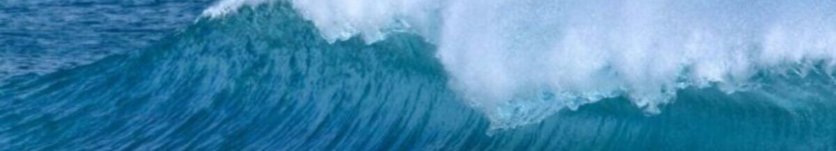 Saltwater Dreaming Surfing News Archive