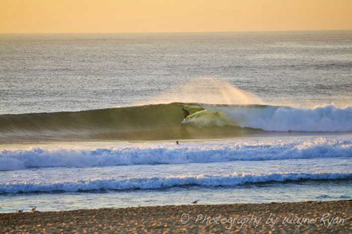 Surfing Maroubra Beach