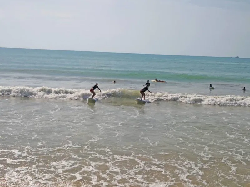 The Right Waves for Learning to Surf